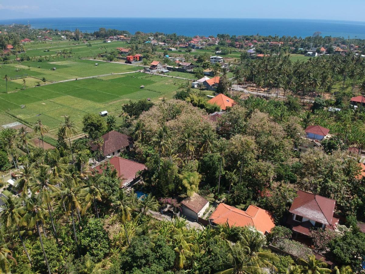 Villa Kelapa Lovina Kültér fotó